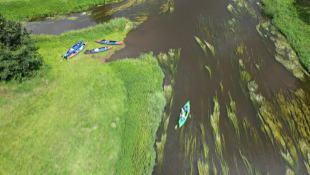 Kemp Dronte Kynšperk